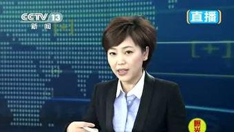 张家豪头条百科,从头条百科看其辉煌成就与影响力