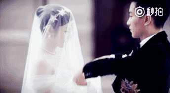 叫苏的明星,璀璨星河中的璀璨星辰