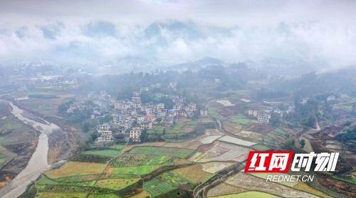 龙山县贾市镇新闻头条,聚焦乡村振兴新篇章