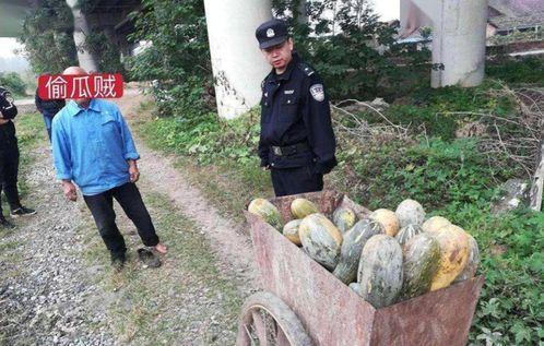 福山网红吃瓜事件视频曝光,视频曝光引发网友热议