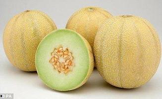 冷库的瓜可以吃嘛,冷库瓜果安全食用指南