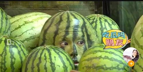 星老师有什么瓜,揭秘娱乐圈背后的那些“瓜”