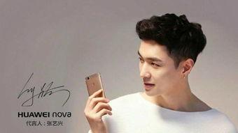 意大明星,璀璨星光下的传奇人生