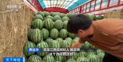 吃瓜价格最新行情,最新吃瓜价格行情揭秘