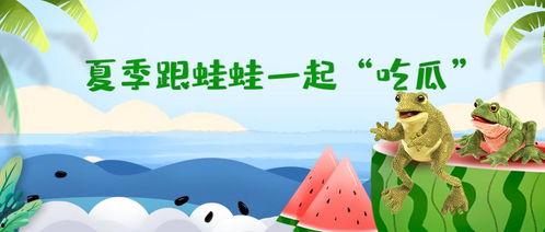 呱呱美术室吃瓜群,吃瓜群里的艺术与欢乐碰撞