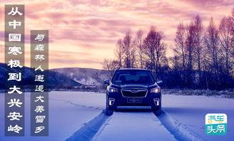 头条大兴安岭,绿色宝库中的生态奇迹与神秘传说