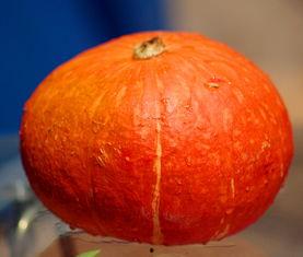 七七吃瓜网,揭秘娱乐圈最新热点，带你领略明星幕后故事