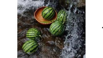 吃瓜口令,吃瓜群众眼中的明星幕后故事