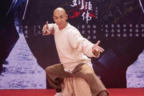 男武打明星赵文卓,武打巨星的风采与传奇