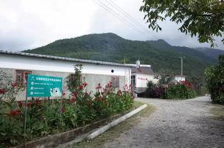 苍山县明星,璀璨星河中的璀璨明珠