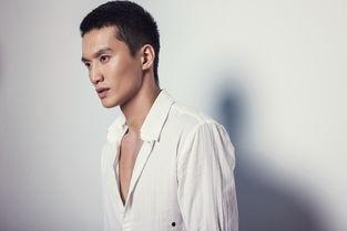 明星开 皇冠,揭秘明星们的奢华生活