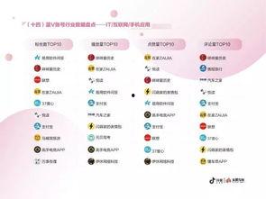 头条蓝v有啥功能,解锁企业官方账号的强大功能与优势”