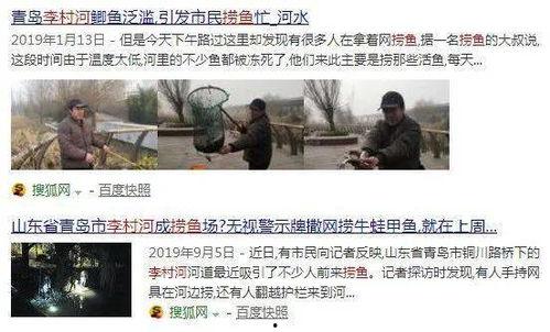 李村河今日头条,探寻生态治理新篇章，见证绿色生活新风貌