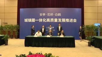 嘉定新闻爆料事件视频,视频揭露惊人真相