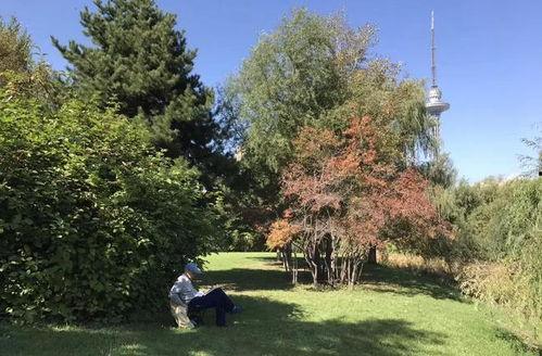 内江网红高尔夫球场,绿茵碧波间，尽享休闲雅趣