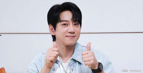 争议的明星,真相与舆论的漩涡