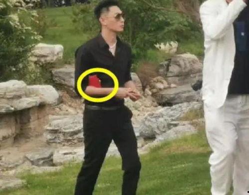 林珊珊张震婚礼明星,明星云集！林珊珊张震浪漫婚礼盛况揭秘