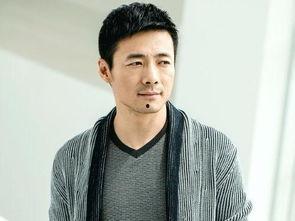 男中国中年明星,探寻中国男明星的成熟魅力