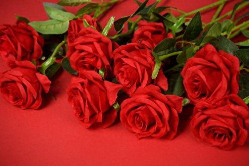 在头条怎么写玫瑰,头条教你轻松打造爆款美图教程