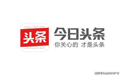 在今日头条卖什么,揭秘热门爆款，助力创业选品