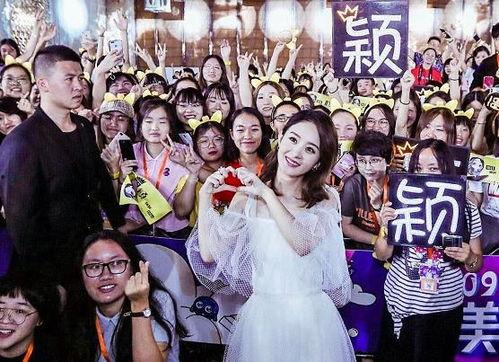 粉丝 与明星,情感交织的璀璨星河