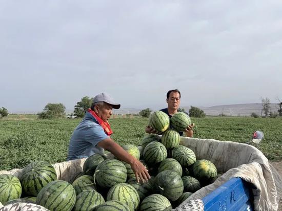 将军山吃瓜在线观看,带你领略现场热辣氛围