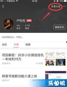 头条号加v了怎么运营,如何高效运营打造爆款内容