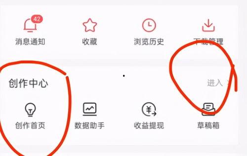 今日头条开通图文权益