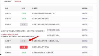 头条怎么开创圈子,如何利用平台特性打造专属圈子
