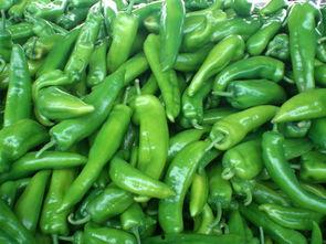 东莞网红小尖椒视频,短视频魅力下的生活点滴