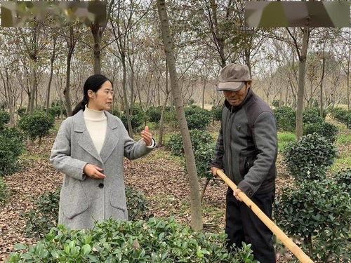 明星带动村民增收