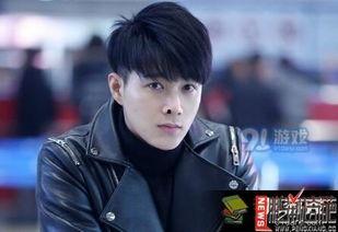 约吧大明星杨延东,杨延东的璀璨星途与魅力人生